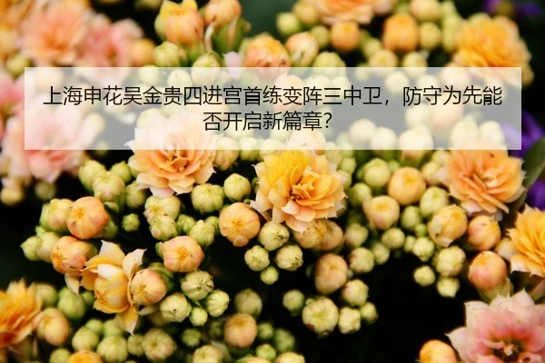 上海申花吴金贵四进宫首练变阵三中卫，防守为先能否开启新篇章？